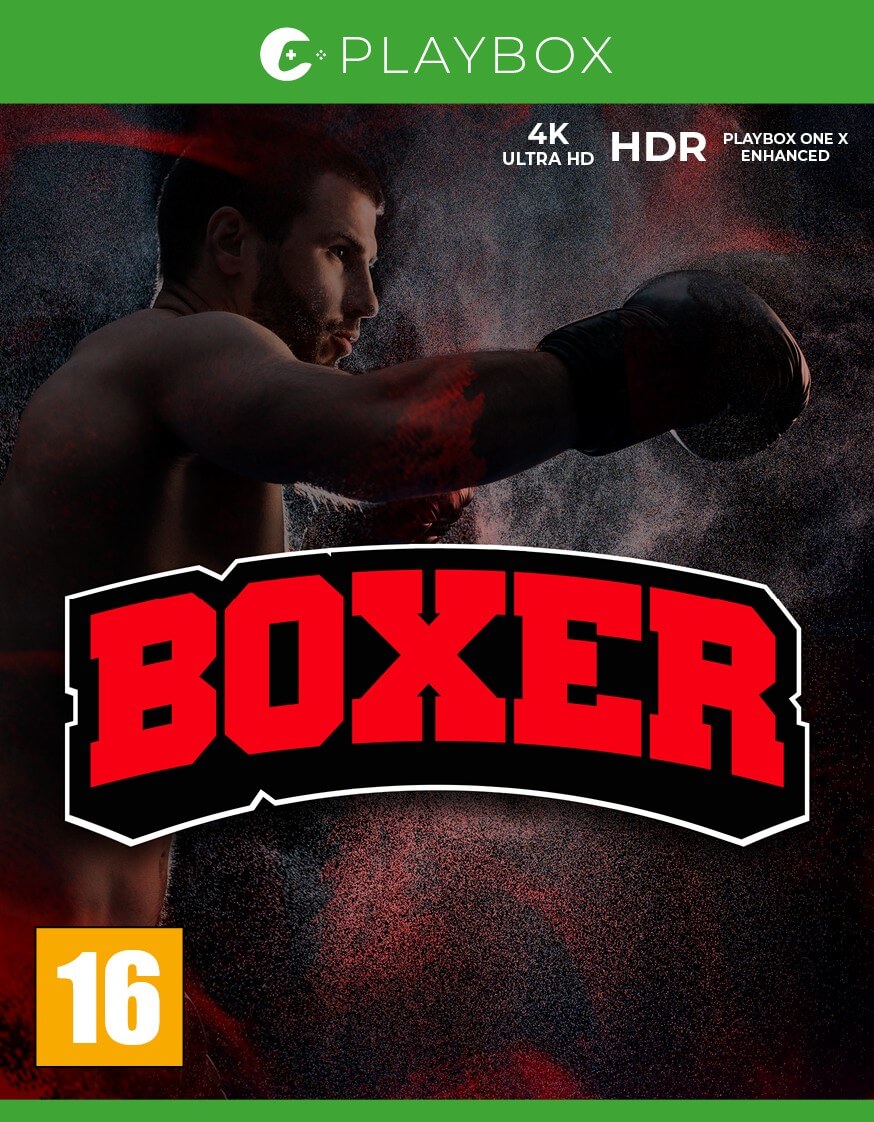 Boxer game cover